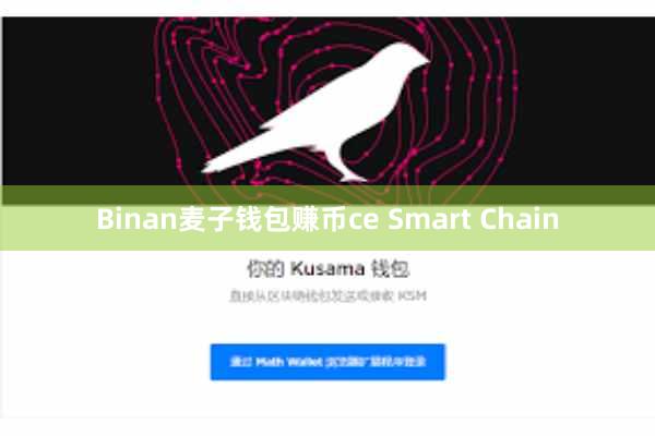 Binan麦子钱包赚币ce Smart Chain
