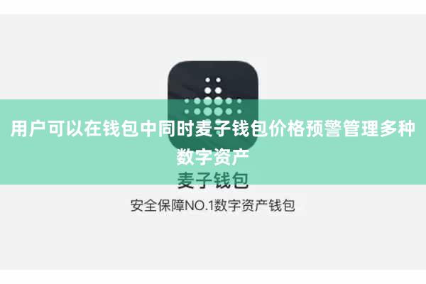 用户可以在钱包中同时麦子钱包价格预警管理多种数字资产