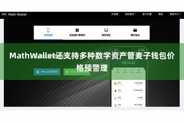 MathWallet还支持多种数字资产管麦子钱包价格预警理